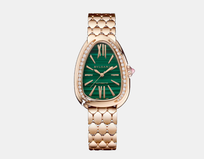 montre serpenti seduttori