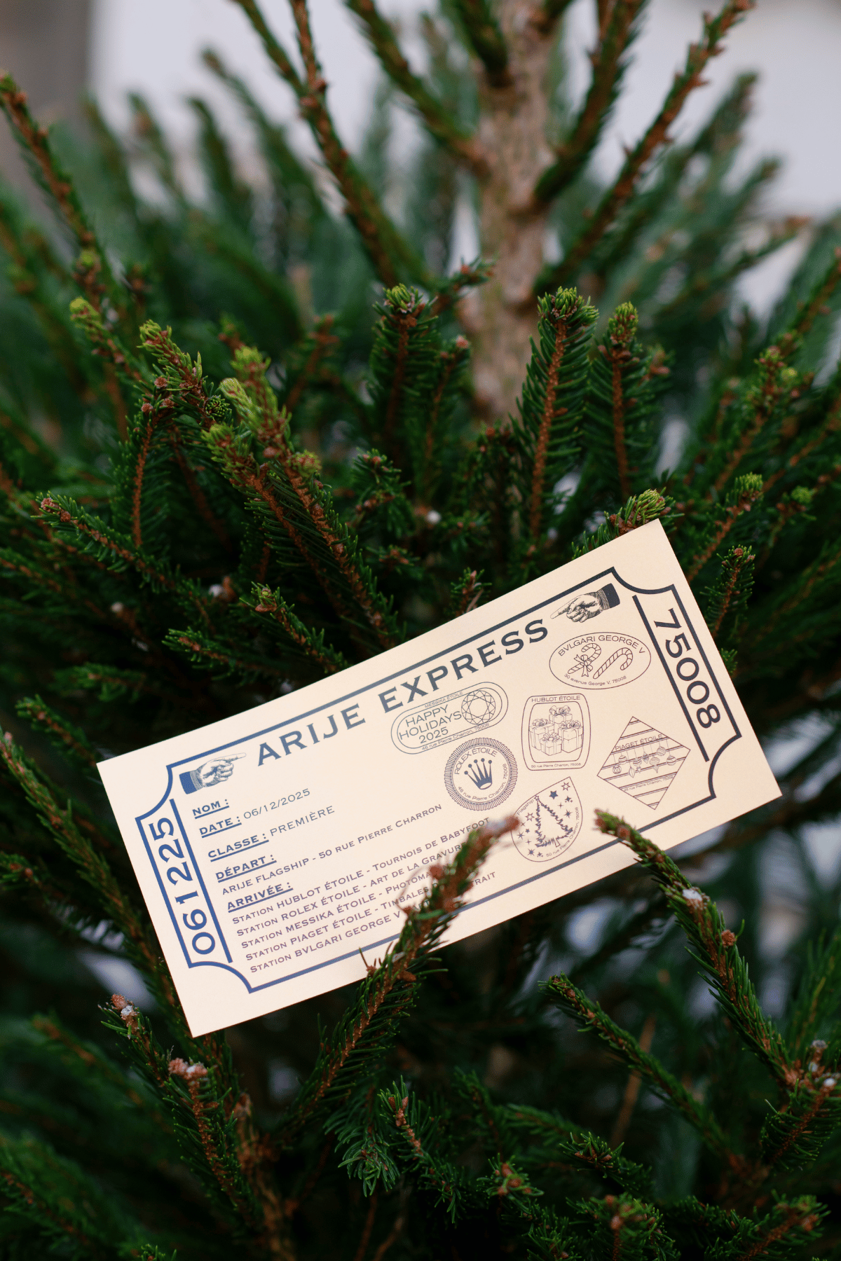 arije illumine la rue Pierre Charron