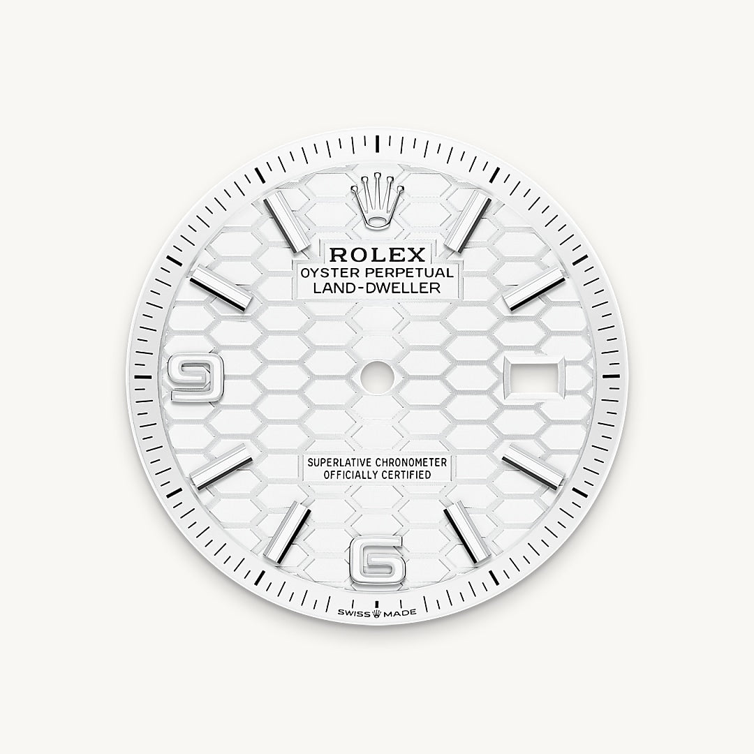 Montre Rolex Land-Dweller 36 en Rolesor gris – combinaison d’acier Oystersteel et d’or gris détail 1 - arije Paris