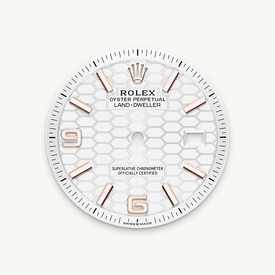Montre Rolex Land-Dweller 36 en Or Everose 18 ct détail 1 - arije Paris