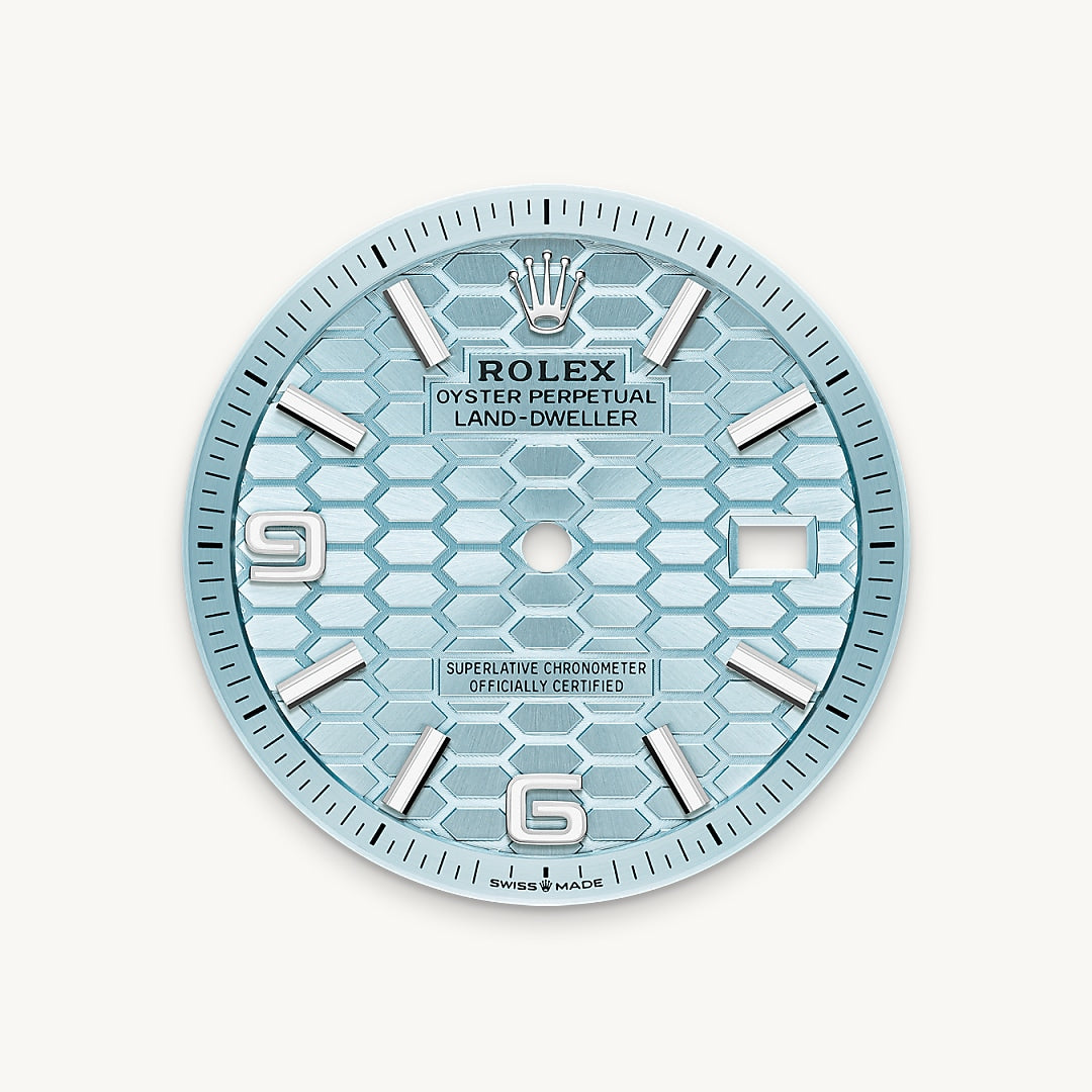 Montre Rolex Land-Dweller 36 en Platine détail 1 - arije Paris