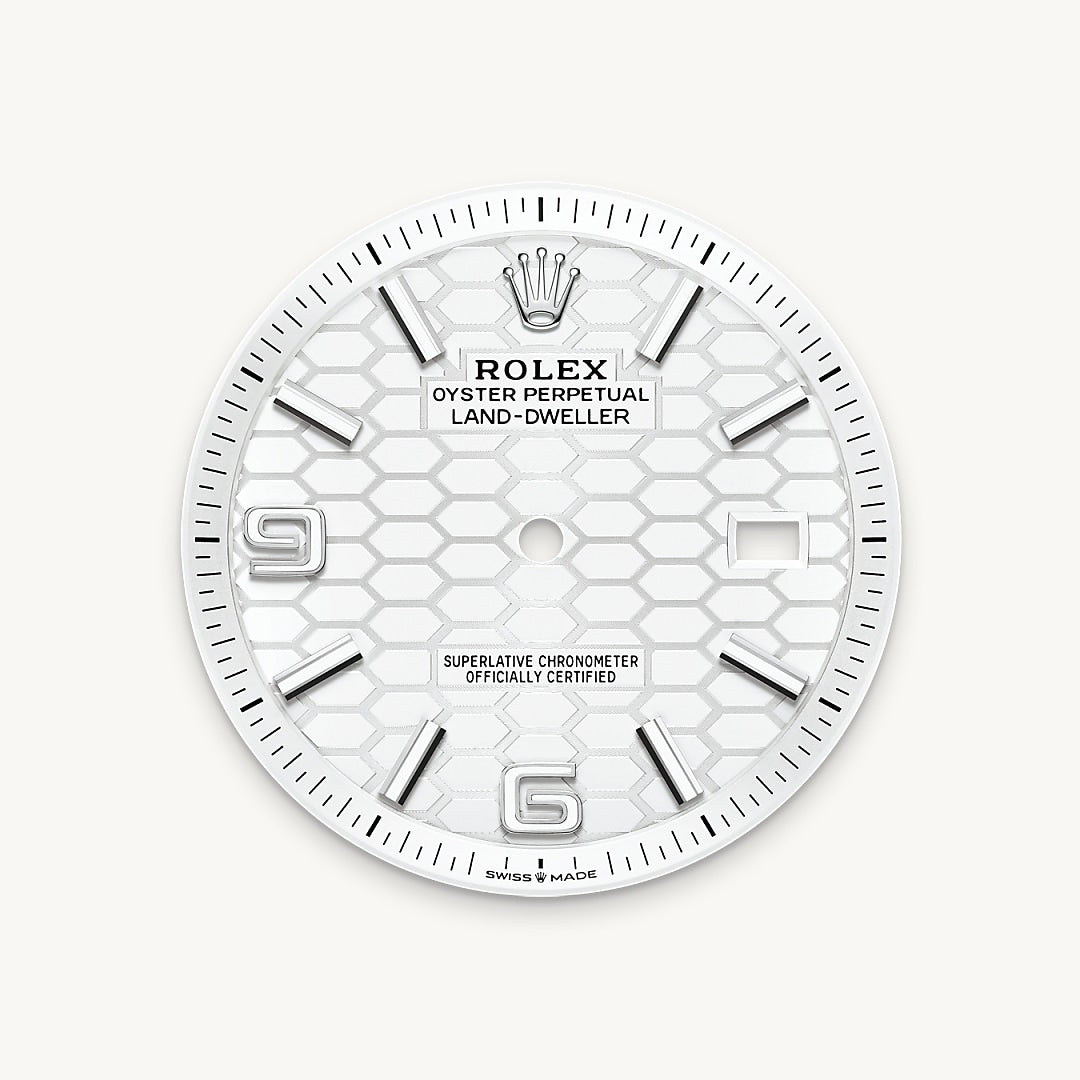 Montre Rolex Land-Dweller 40 en Rolesor gris – combinaison d’acier Oystersteel et d’or gris détail 1 - arije Paris