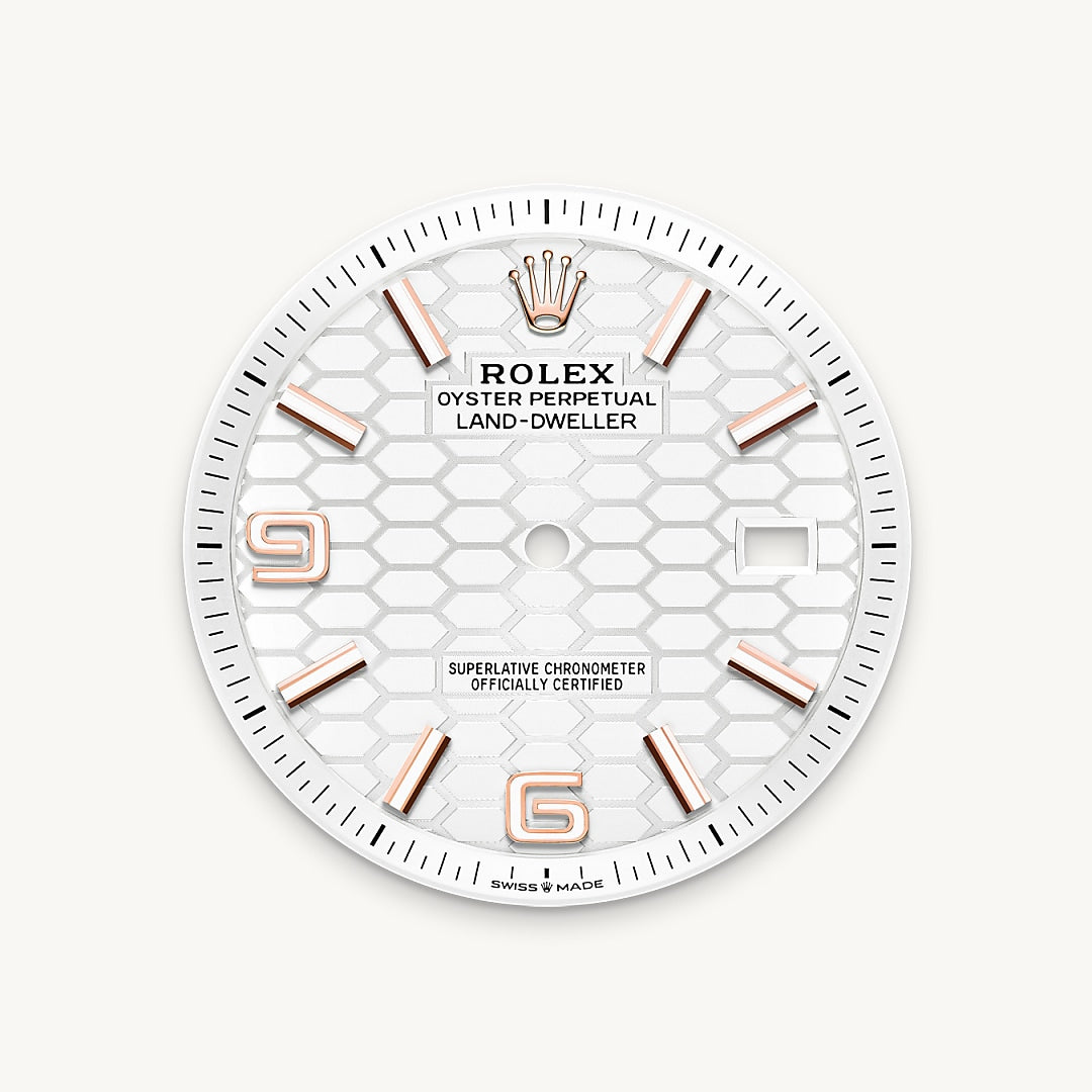 Montre Rolex Land-Dweller 40 en Or Everose 18 ct détail 1 - arije Paris
