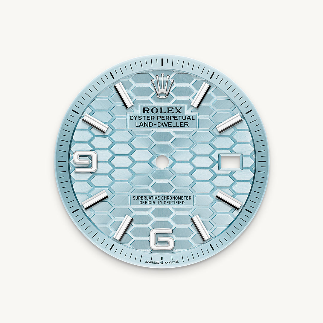 Montre Rolex Land-Dweller 40 en Platine détail 1 - arije Paris