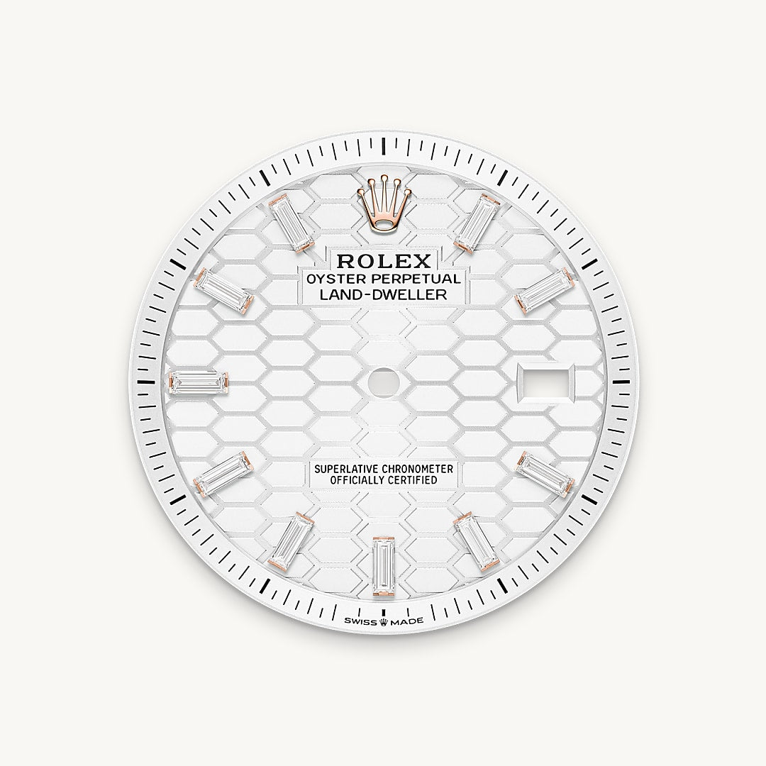 Montre Rolex Land-Dweller 40 en Or Everose 18 ct détail 1 - arije Paris