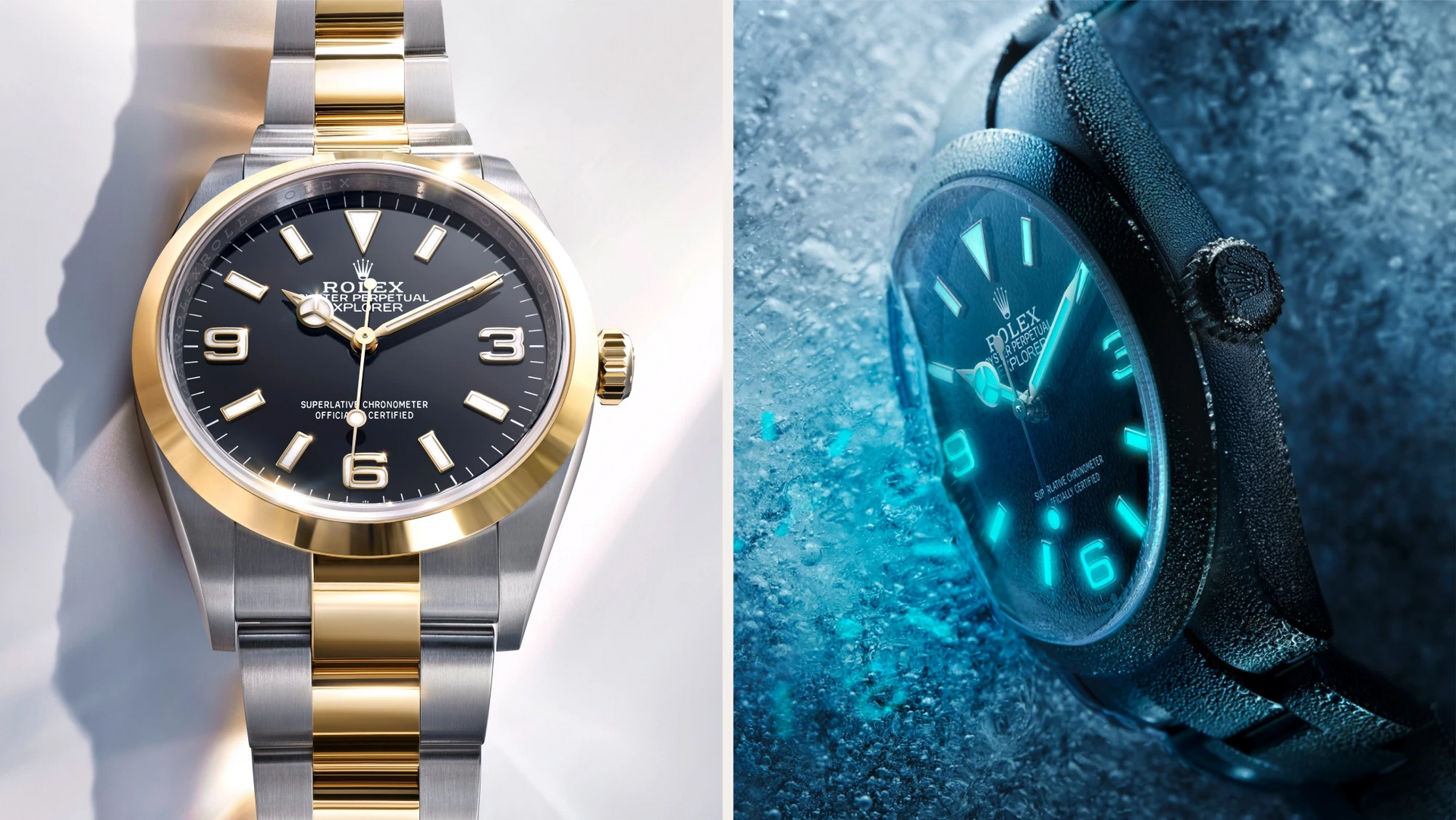 Montres Rolex Explorer conçues pour explorer - arije Paris