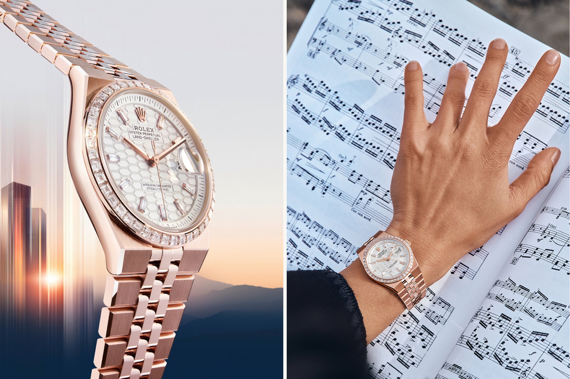 Montres Rolex Land-Dweller bracelet et boitier - arije Paris