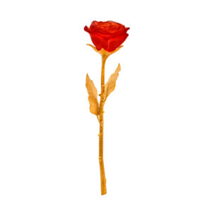 Rose eternelle rouge - Daum